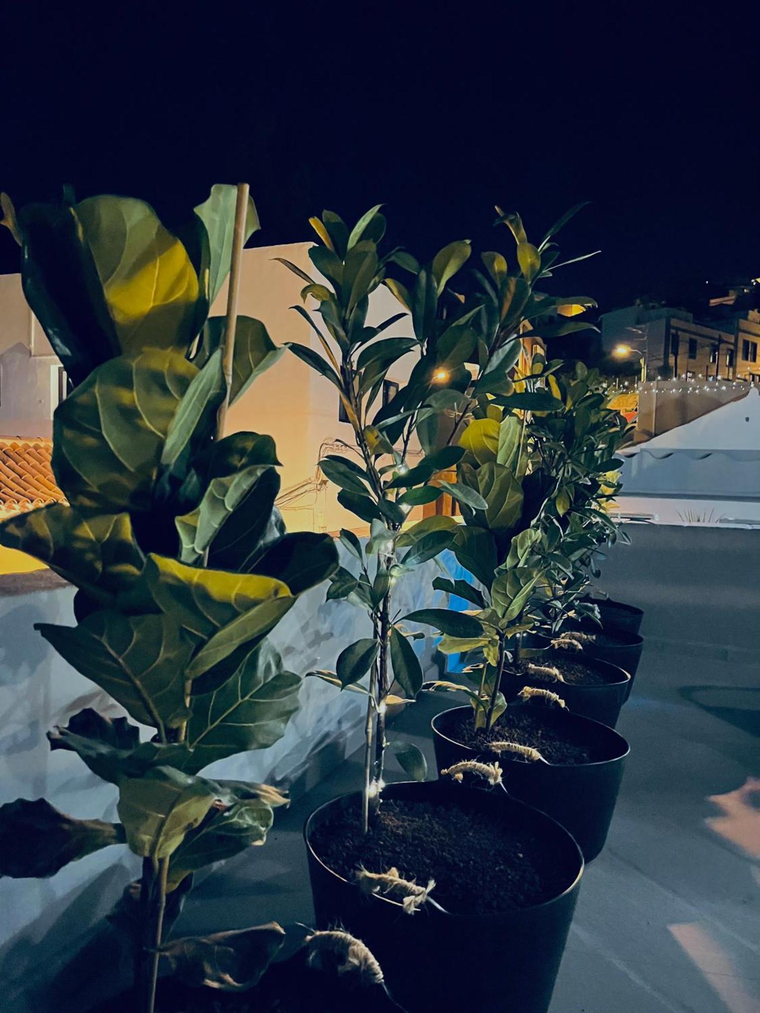 Plaza De La Fuente Granadilla De Abona Tenerife Sur Only Adults Con Terraza Privada Εξωτερικό φωτογραφία